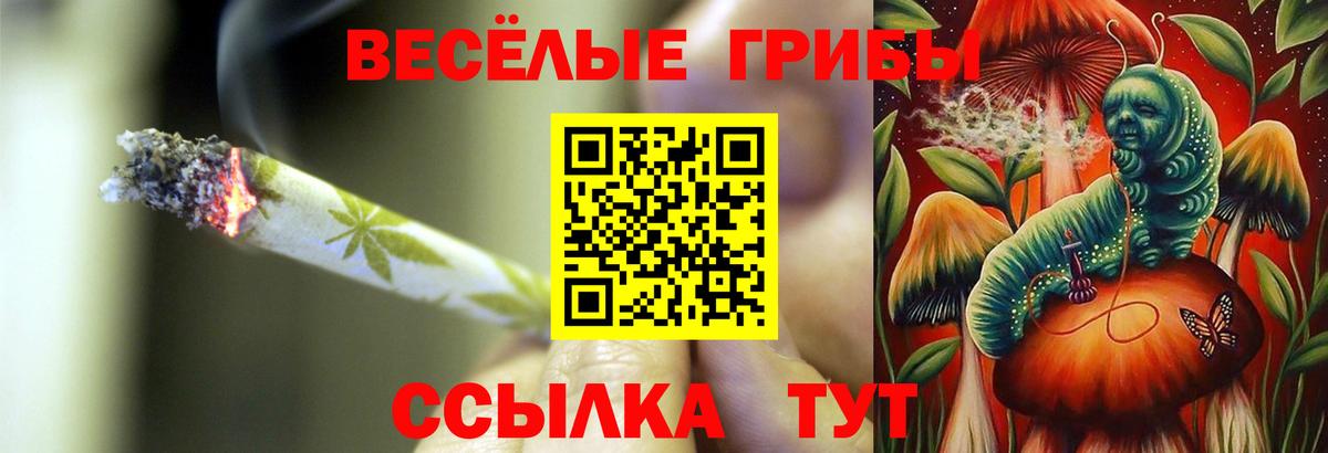 Псилоцибиновые грибы мухоморы  Вход с VPN  Москва  Галлюциногенные грибы прущие грибы 